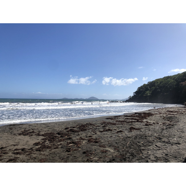 Photo Guadeloupe Bananier 2021-02 3