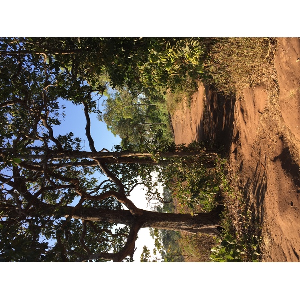 Photo Thaïlande Parc National Phu Hin Rong Kla 2014-12 247