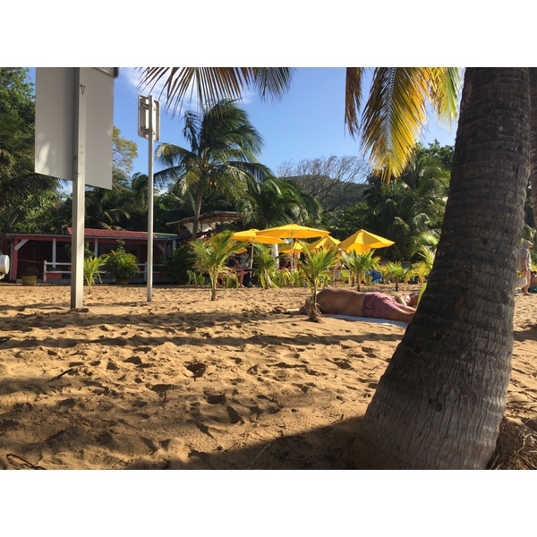 Photo Guadeloupe Plage de la Perle 2021-02 118