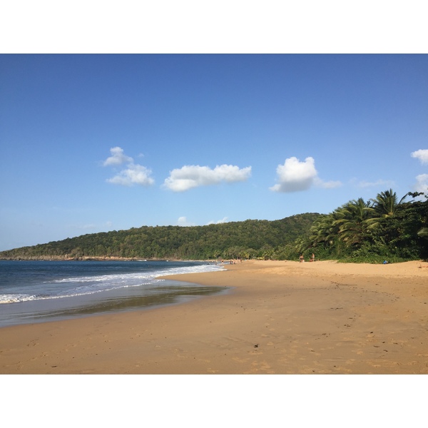Photo Guadeloupe Plage de la Perle 2021-02 26