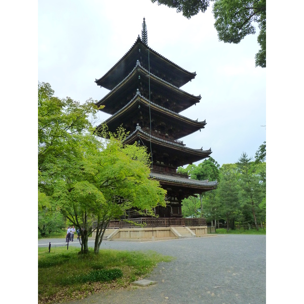 Photo Japon Kyoto temple Ninna ji 2010-06 16