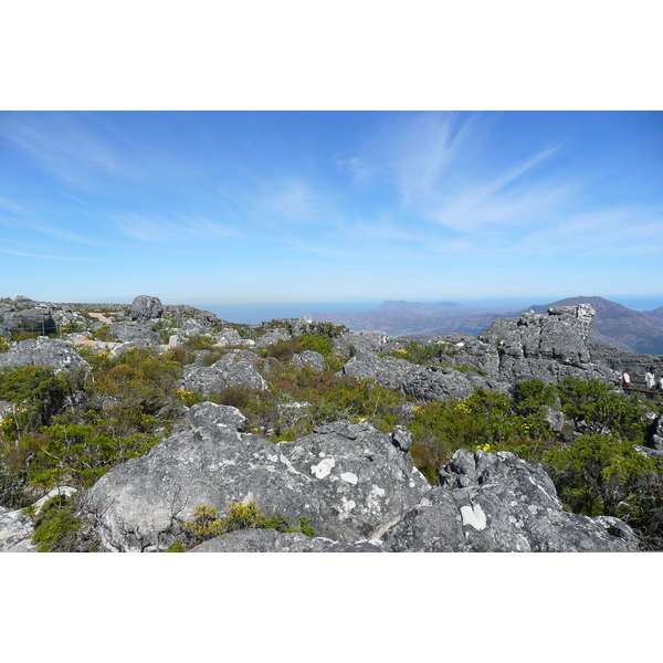 Photo Afrique du Sud Le Cap Montagne de la table 2008-09 40