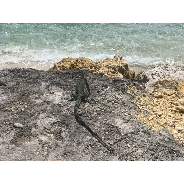 Photo Guadeloupe Saint François 2021-02 2