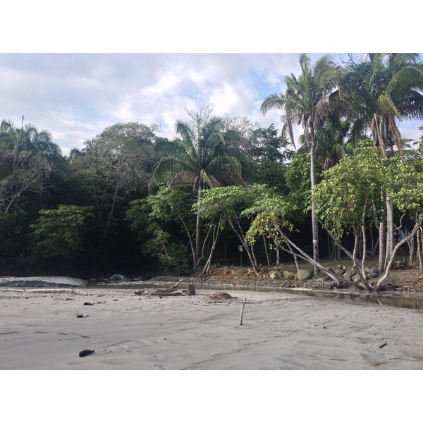 Photo Costa Rica Parc Manuel Antonio 2015-03 94