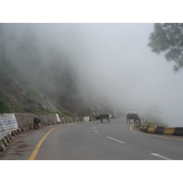 Photo Pakistan Murree 2006-08 162
