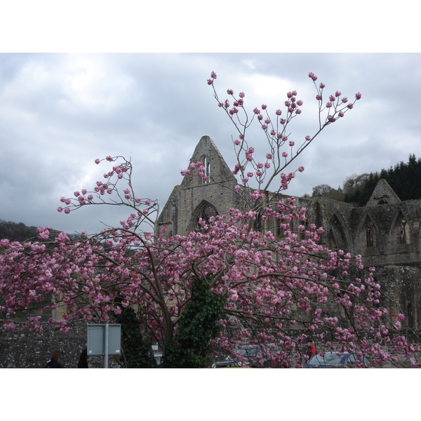 Photo Royaume-Uni Tintern 2006-05 25