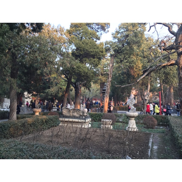 Photo Chine Pékin Cité Interdite 2015-12 134