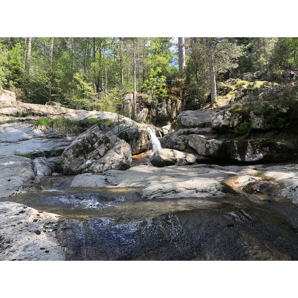 Photo France Corse Forêt d'Aïtone 2021-06 33