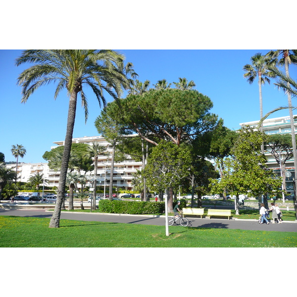 Photo France Cannes Port de Cannes 2008-05 51