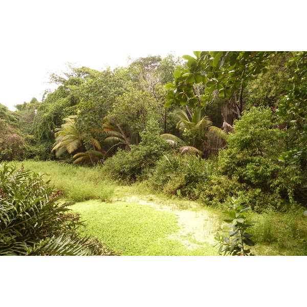 Photo Seychelles La Digue 2011-10 75