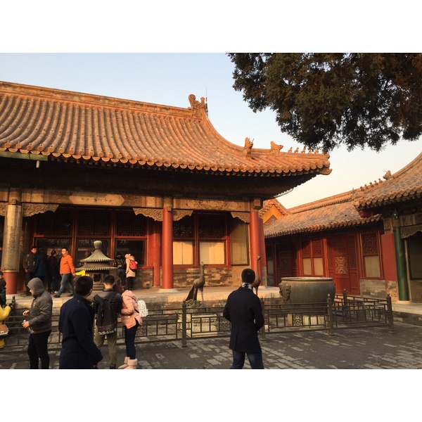 Photo Chine Pékin Cité Interdite 2015-12 128