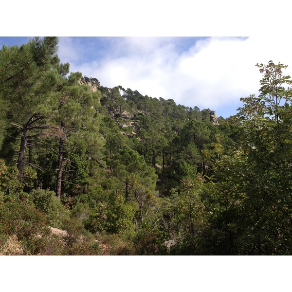 Photo France Corse Forêt de l'Ospedale 2012-09 15