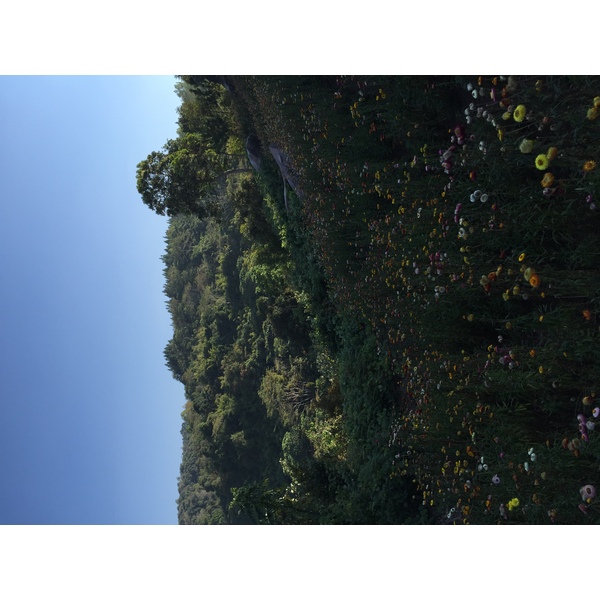 Photo Thaïlande Parc National Phu Hin Rong Kla 2014-12 23