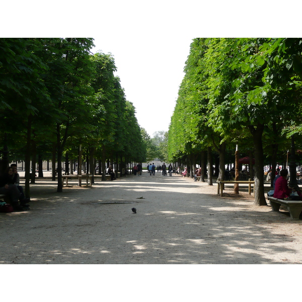 Photo France Paris Jardin des Tuileries 2007-05 380