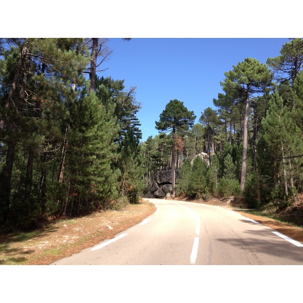 Photo France Corse Forêt de l'Ospedale 2012-09 23