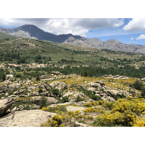 Photo France Corse Forêt d'Aïtone 2021-06 3