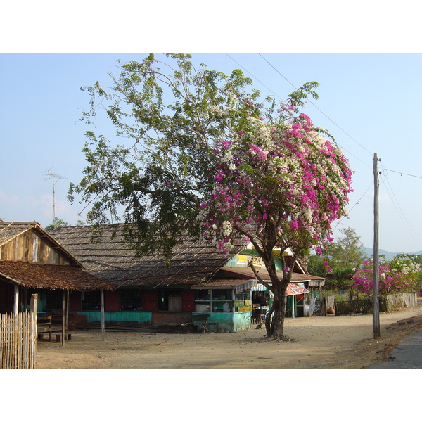 Photo Birmanie (Myanmar) Plage de Maungmagan 2005-01 26