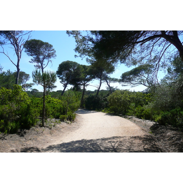 Photo France Ile de Porquerolles Plaine de la courtade 2008-05 1