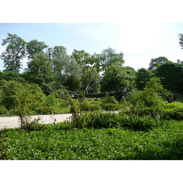 Photo France Paris Jardin des Tuileries 2007-05 10