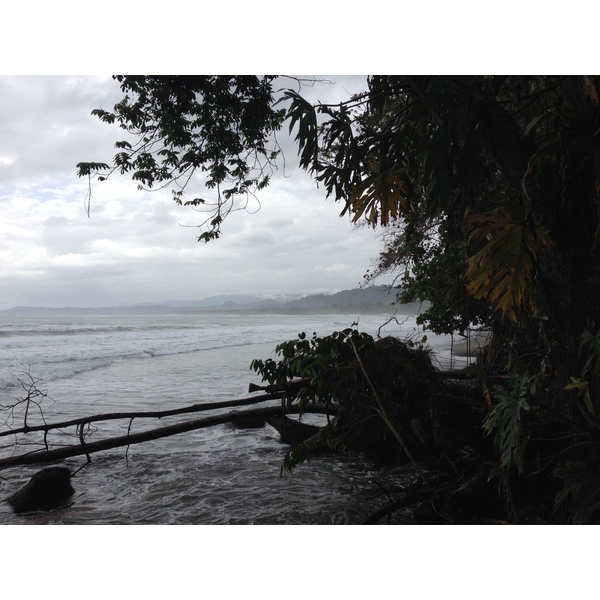 Photo Costa Rica Cahuita 2015-03 161