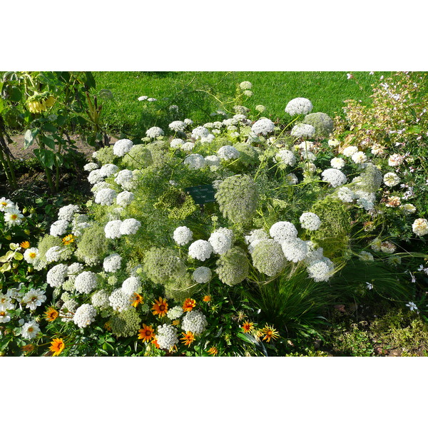Photo France Paris Jardin des Plantes 2007-08 52
