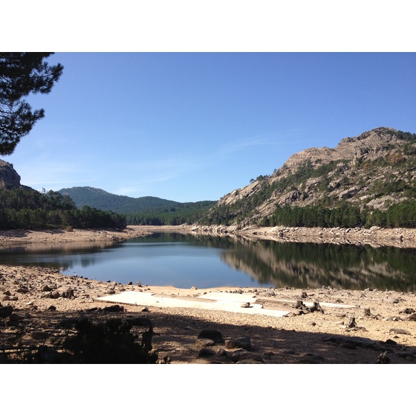 Photo France Corse Forêt de l'Ospedale 2012-09 69