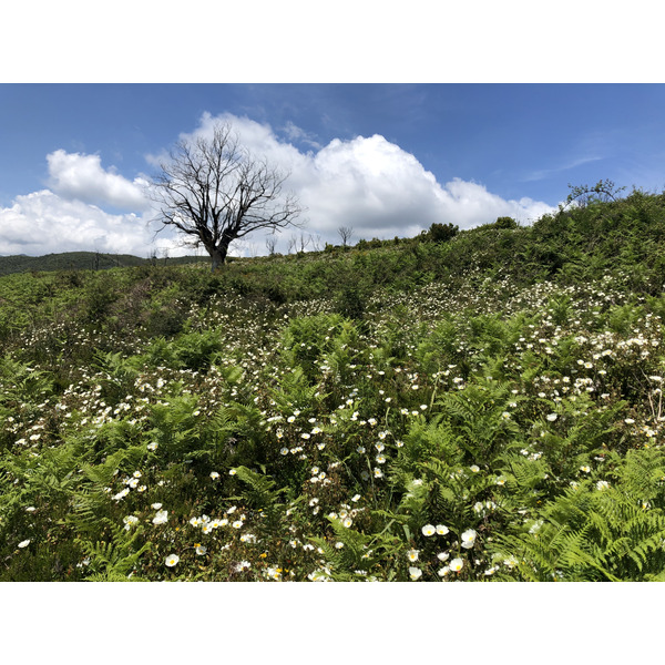 Photo France Corse 2021-05 59