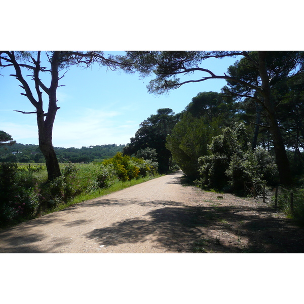 Photo France Ile de Porquerolles Plaine de la courtade 2008-05 16