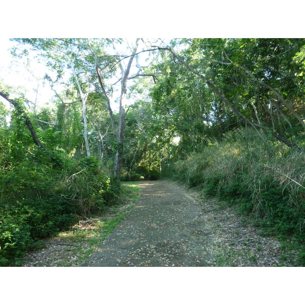 Photo Îles Fidji Parc des dunes de Sigatoka 2010-05 45