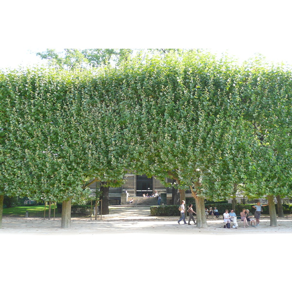 Photo France Paris Jardin des Plantes 2007-08 187