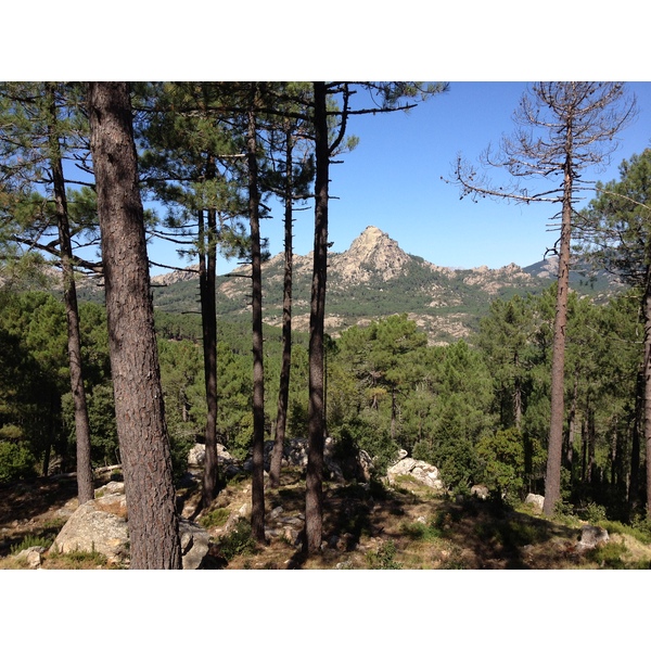 Photo France Corse Forêt de l'Ospedale 2012-09 32