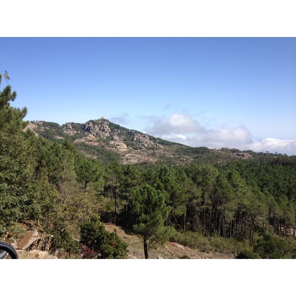 Photo France Corse Forêt de l'Ospedale 2012-09 1