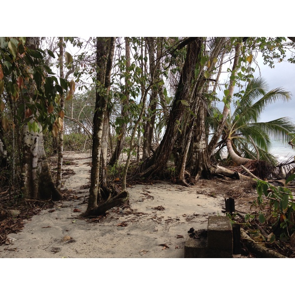 Photo Costa Rica Cahuita 2015-03 107
