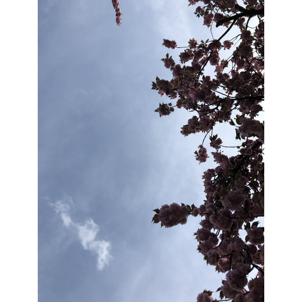 Photo France Parc de Sceaux 2019-04 45