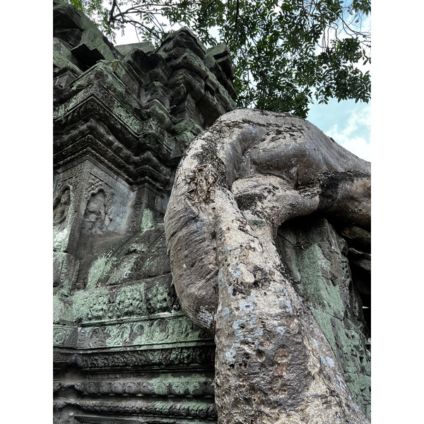 Photo Cambodge Siem Reap Ta Prohm 2023-01 19