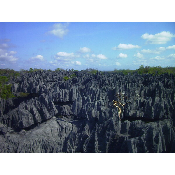 Photo Madagascar Tsingy 1999-10 23