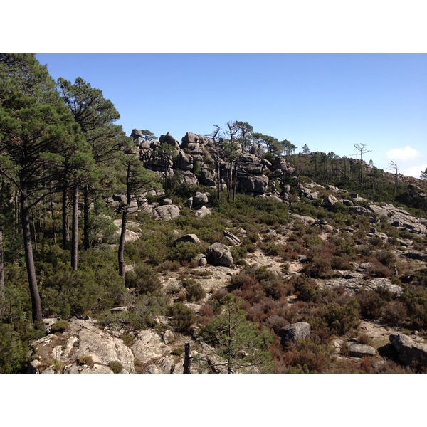 Photo France Corse Forêt de l'Ospedale 2012-09 50