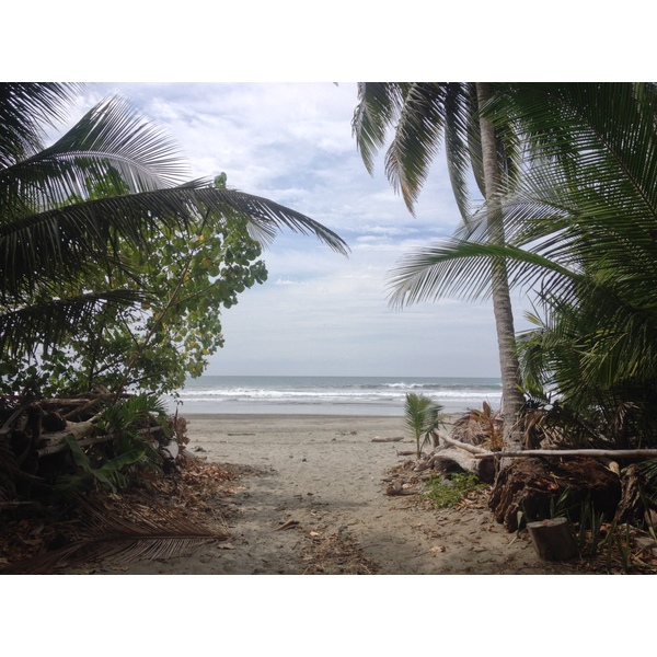 Photo Costa Rica Montezuma 2015-03 284