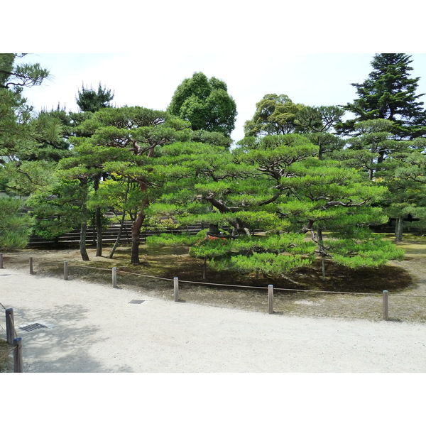 Photo Japon Kyoto Château Nijo Palais Honmaru 2010-06 16