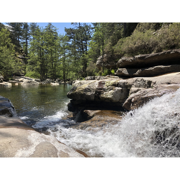 Photo France Corse Forêt d'Aïtone 2021-06 31