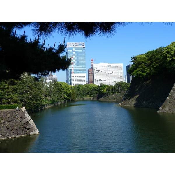 Photo Japon Tokyo Palais impérial 2010-06 24