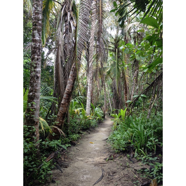 Photo Costa Rica Cahuita 2015-03 8