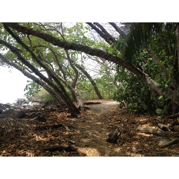 Photo Costa Rica Montezuma 2015-03 451