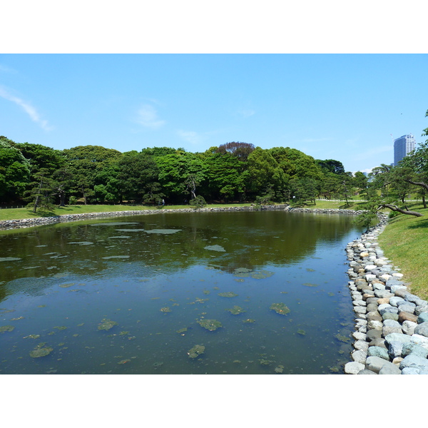 Photo Japon Tokyo Jardins Hama rikyu 2010-06 85
