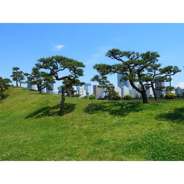 Photo Japon Tokyo Jardins Hama rikyu 2010-06 50