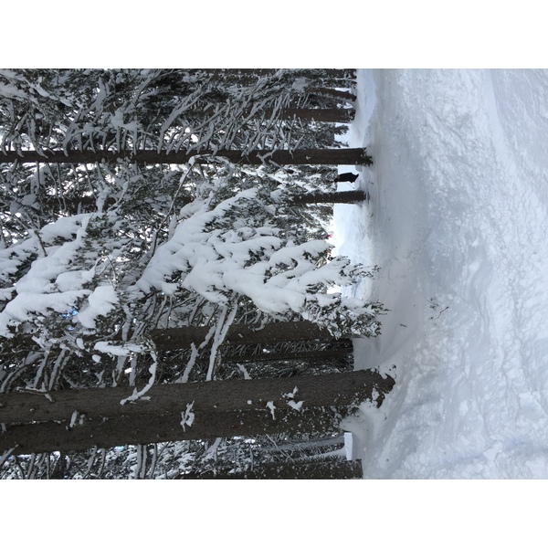 Photo France Megève 2016-02 73