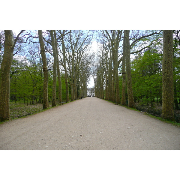 Photo France Château de Chenonceau Jardins de Chenonceau 2008-04 53
