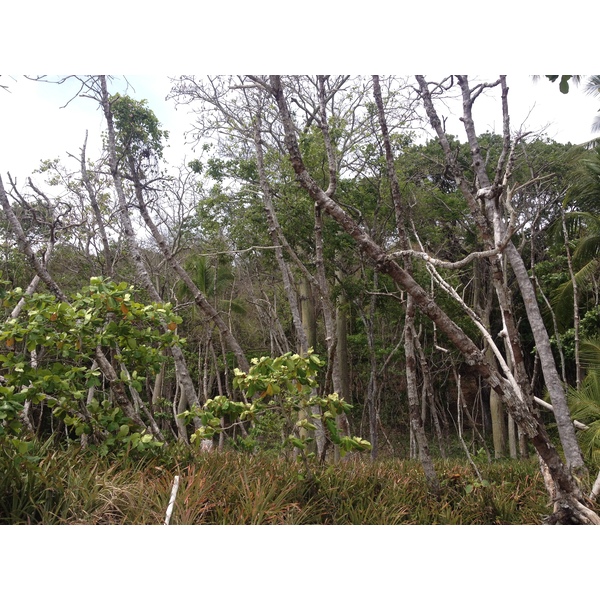 Photo Costa Rica Montezuma 2015-03 410