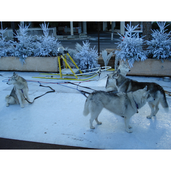 Photo Monaco 2006-12 44