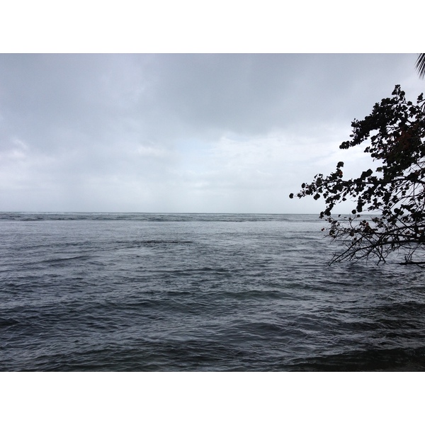 Photo Costa Rica Cahuita 2015-03 26